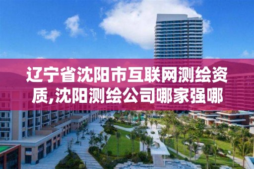 遼寧省沈陽市互聯網測繪資質,沈陽測繪公司哪家強哪家好