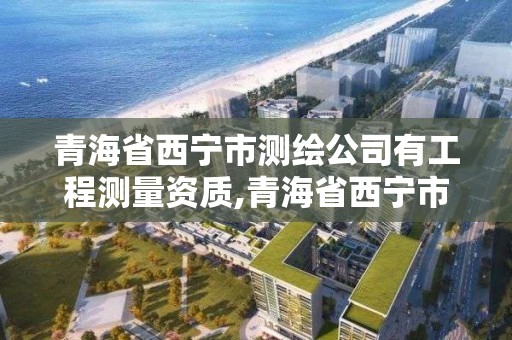 青海省西寧市測繪公司有工程測量資質(zhì),青海省西寧市測繪公司有工程測量資質(zhì)嗎