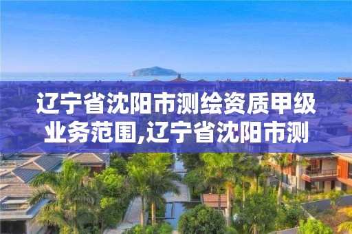 遼寧省沈陽市測繪資質(zhì)甲級業(yè)務(wù)范圍,遼寧省沈陽市測繪資質(zhì)甲級業(yè)務(wù)范圍是多少