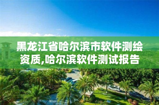 黑龍江省哈爾濱市軟件測繪資質,哈爾濱軟件測試報告第三方軟件測試中心供應