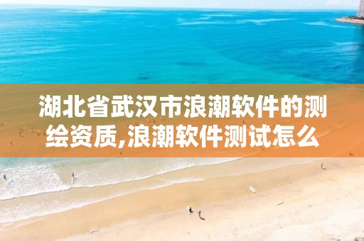 湖北省武漢市浪潮軟件的測繪資質,浪潮軟件測試怎么樣