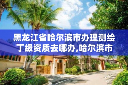 黑龍江省哈爾濱市辦理測繪丁級資質去哪辦,哈爾濱市測繪院。