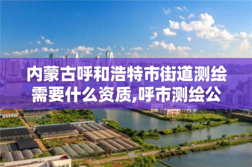 內蒙古呼和浩特市街道測繪需要什么資質,呼市測繪公司招聘