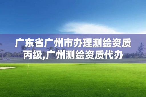 廣東省廣州市辦理測繪資質丙級,廣州測繪資質代辦