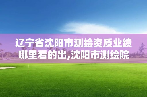 遼寧省沈陽市測繪資質業績哪里看的出,沈陽市測繪院電話。