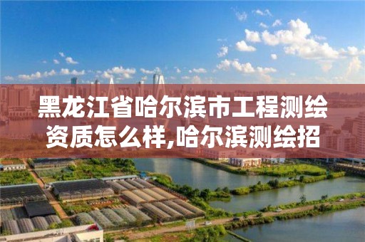 黑龍江省哈爾濱市工程測繪資質(zhì)怎么樣,哈爾濱測繪招聘信息