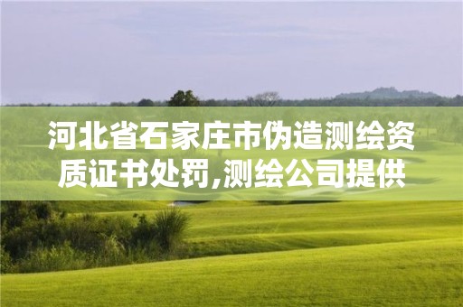 河北省石家莊市偽造測繪資質(zhì)證書處罰,測繪公司提供虛假測繪報(bào)告