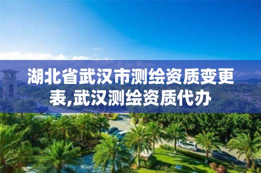 湖北省武漢市測繪資質變更表,武漢測繪資質代辦