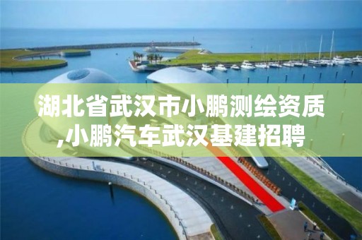 湖北省武漢市小鵬測繪資質,小鵬汽車武漢基建招聘