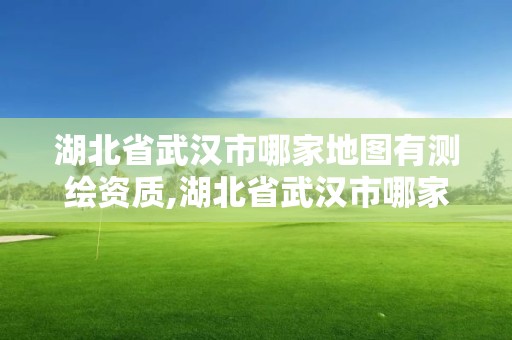 湖北省武漢市哪家地圖有測繪資質,湖北省武漢市哪家地圖有測繪資質的