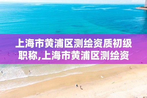 上海市黃浦區測繪資質初級職稱,上海市黃浦區測繪資質初級職稱查詢