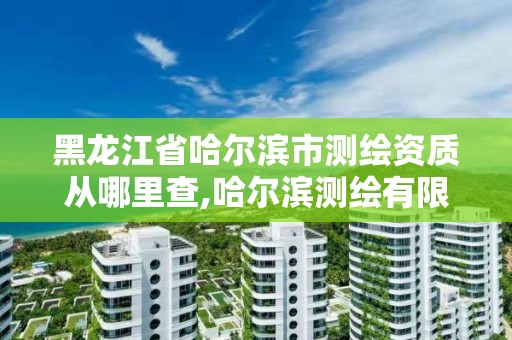 黑龍江省哈爾濱市測繪資質從哪里查,哈爾濱測繪有限公司