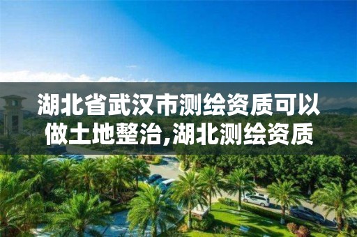 湖北省武漢市測繪資質可以做土地整治,湖北測繪資質單位。