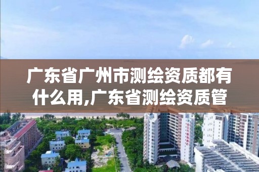 廣東省廣州市測繪資質都有什么用,廣東省測繪資質管理系統。