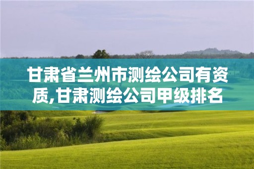 甘肅省蘭州市測繪公司有資質,甘肅測繪公司甲級排名