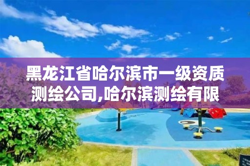 黑龍江省哈爾濱市一級(jí)資質(zhì)測(cè)繪公司,哈爾濱測(cè)繪有限公司