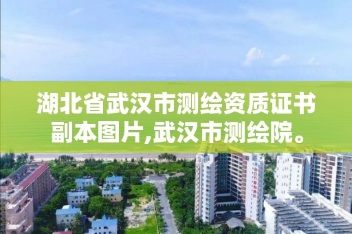 湖北省武漢市測繪資質證書副本圖片,武漢市測繪院。