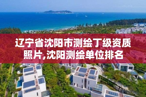 遼寧省沈陽市測繪丁級資質照片,沈陽測繪單位排名