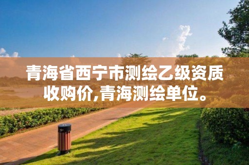 青海省西寧市測繪乙級資質(zhì)收購價,青海測繪單位。