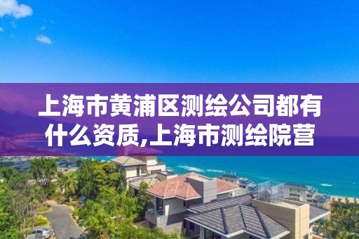 上海市黃浦區(qū)測繪公司都有什么資質,上海市測繪院營業(yè)時間