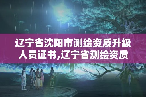 遼寧省沈陽市測繪資質(zhì)升級人員證書,遼寧省測繪資質(zhì)延期