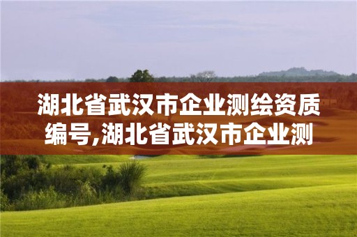 湖北省武漢市企業測繪資質編號,湖北省武漢市企業測繪資質編號是多少