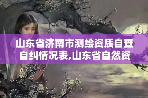 山東省濟南市測繪資質自查自糾情況表,山東省自然資源廳測繪資質延期。