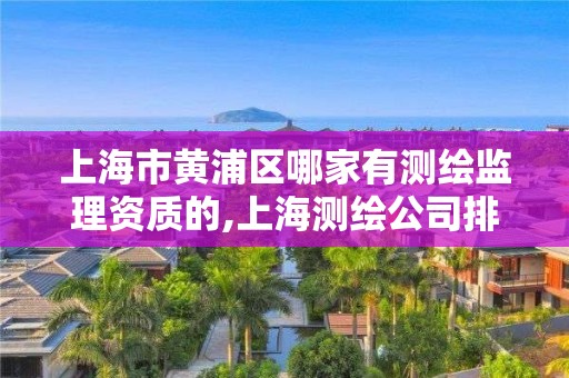 上海市黃浦區哪家有測繪監理資質的,上海測繪公司排名名單