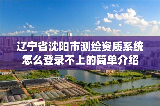 遼寧省沈陽市測繪資質系統怎么登錄不上的簡單介紹