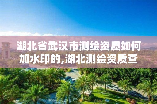 湖北省武漢市測繪資質如何加水印的,湖北測繪資質查詢。