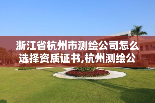 浙江省杭州市測繪公司怎么選擇資質(zhì)證書,杭州測繪公司有哪幾家。