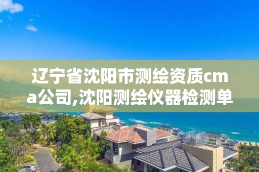 遼寧省沈陽市測繪資質cma公司,沈陽測繪儀器檢測單位