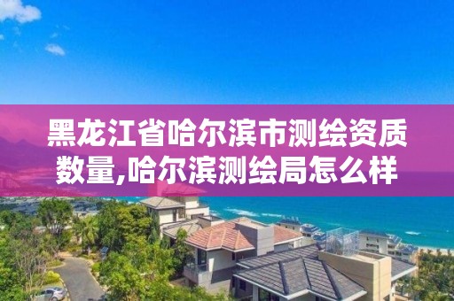 黑龍江省哈爾濱市測繪資質數量,哈爾濱測繪局怎么樣