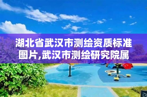 湖北省武漢市測繪資質標準圖片,武漢市測繪研究院屬于什么單位