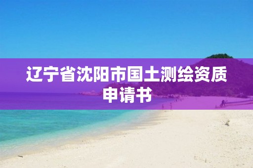 遼寧省沈陽市國土測繪資質申請書
