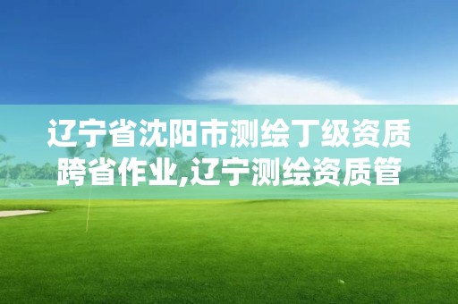 遼寧省沈陽市測繪丁級資質跨省作業,遼寧測繪資質管理系統登錄