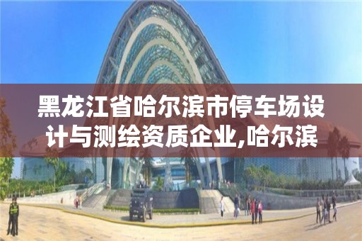 黑龍江省哈爾濱市停車場設計與測繪資質企業,哈爾濱停車管理有限公司