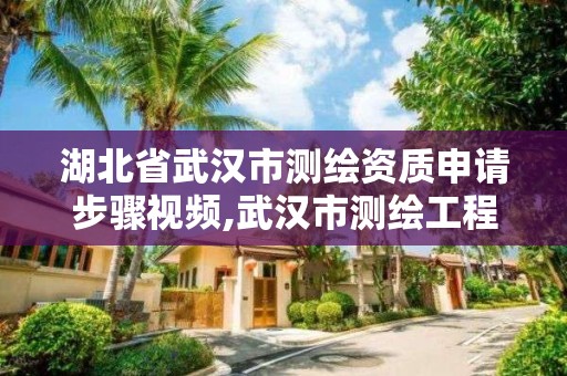 湖北省武漢市測繪資質申請步驟視頻,武漢市測繪工程技術規定