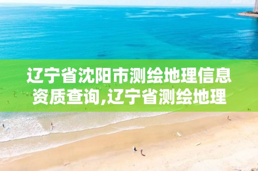 遼寧省沈陽市測繪地理信息資質查詢,遼寧省測繪地理信息局電話