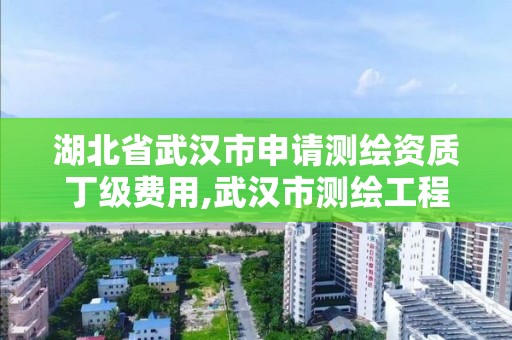 湖北省武漢市申請測繪資質丁級費用,武漢市測繪工程技術規(guī)定