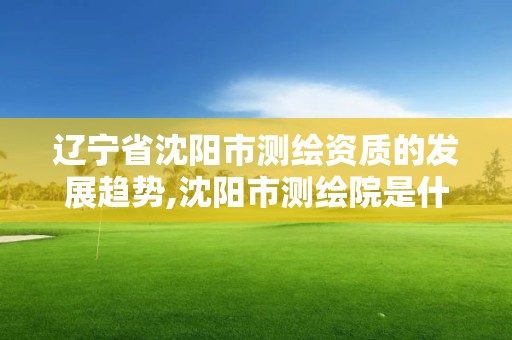 遼寧省沈陽市測繪資質(zhì)的發(fā)展趨勢,沈陽市測繪院是什么單位