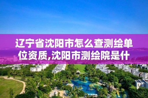 遼寧省沈陽市怎么查測繪單位資質,沈陽市測繪院是什么單位