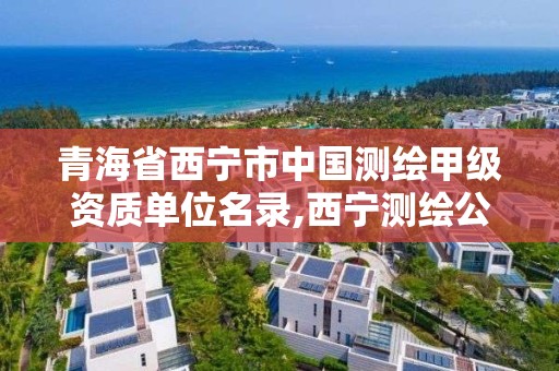 青海省西寧市中國測繪甲級資質單位名錄,西寧測繪公司聯系方式。