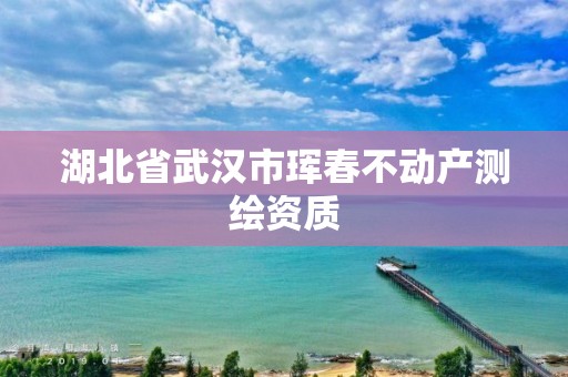 湖北省武漢市琿春不動產測繪資質