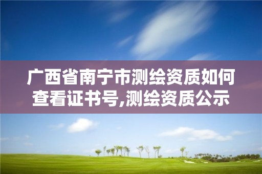 廣西省南寧市測繪資質如何查看證書號,測繪資質公示在哪里查詢。