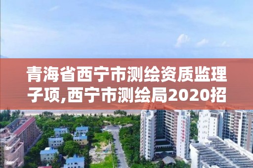 青海省西寧市測繪資質監理子項,西寧市測繪局2020招聘