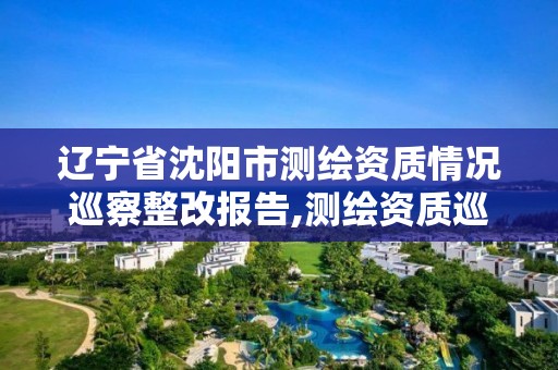 遼寧省沈陽市測繪資質情況巡察整改報告,測繪資質巡查報告