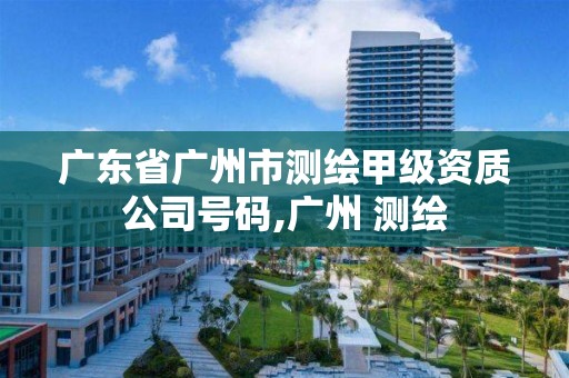 廣東省廣州市測繪甲級資質(zhì)公司號碼,廣州 測繪