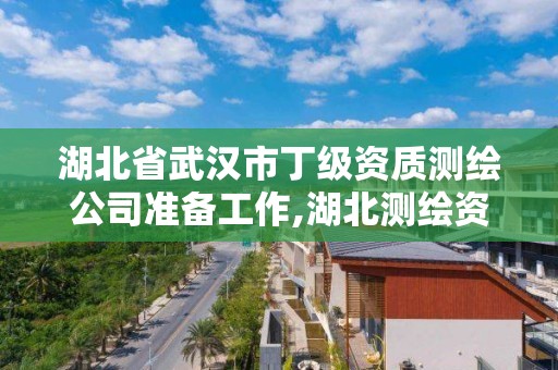 湖北省武漢市丁級資質測繪公司準備工作,湖北測繪資質單位。