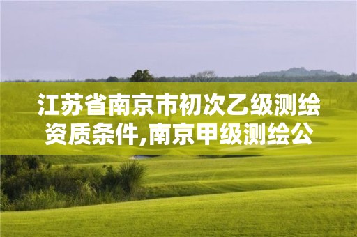 江蘇省南京市初次乙級測繪資質條件,南京甲級測繪公司排名